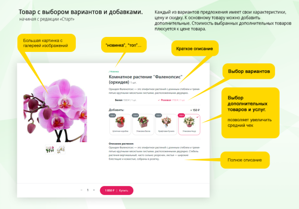 Магазин цветов и подарков, начиная со Старта. Flora Shop