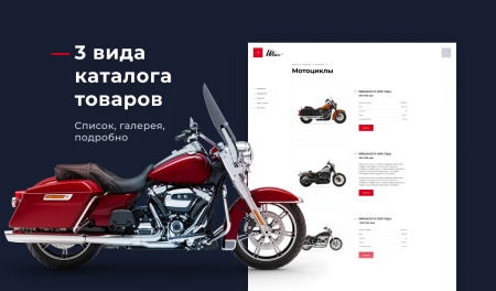 Winn: премиальный корпоративный сайт Winn: премиальный корпоративный сайт