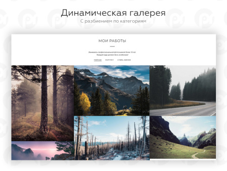 PR-Volga: Фотограф. Готовый сайт