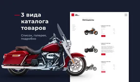 Winn: премиальный корпоративный сайт