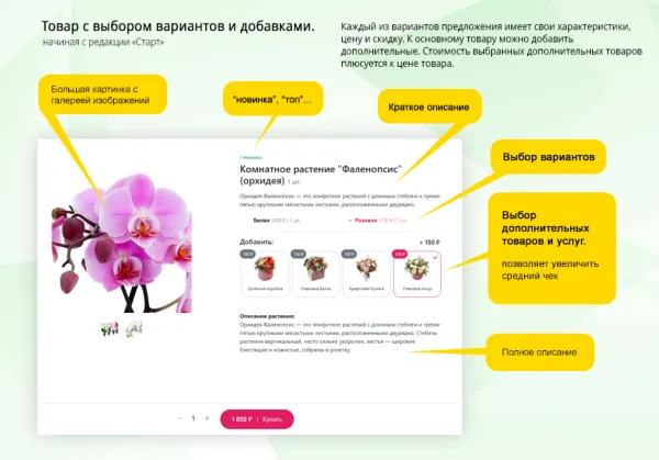 Магазин цветов и подарков, начиная со Старта. Flora Shop