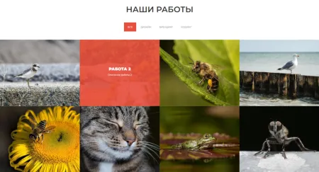 Jet. Одностраничный сайт